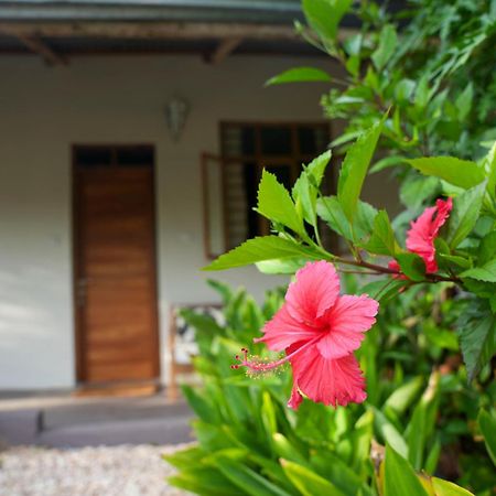 Kendwa Breeze Bungalows Eksteriør bilde